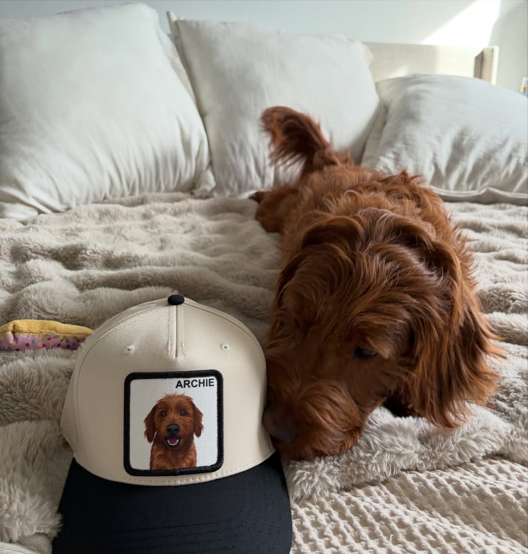 Customer pet photo