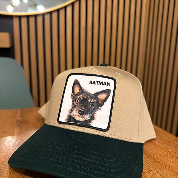 PetCap customer photo